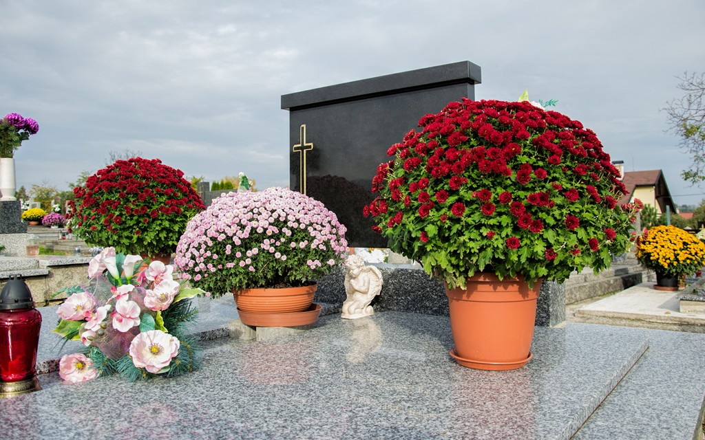 LOREM IPSUM VECTA EST [7-1]