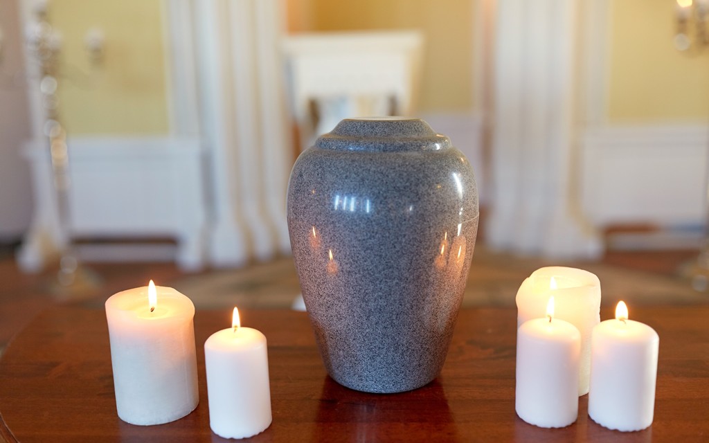 DONEC ELEIFEND EGET  [7-1] 